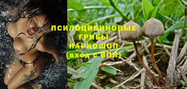 бошки Белокуриха