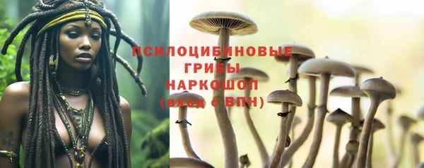 ешки Богородск
