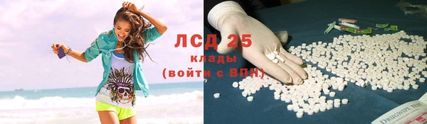 бошки Белокуриха