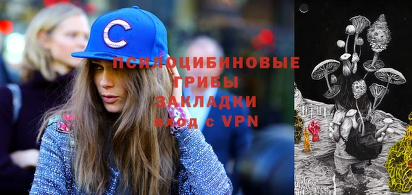 альфа пвп Богородицк