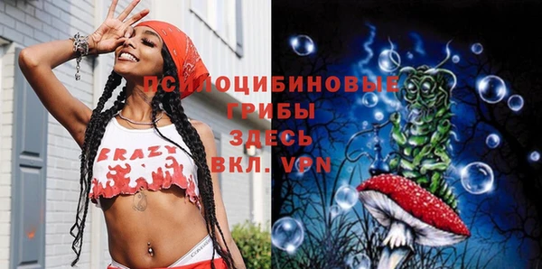 бошки Белокуриха