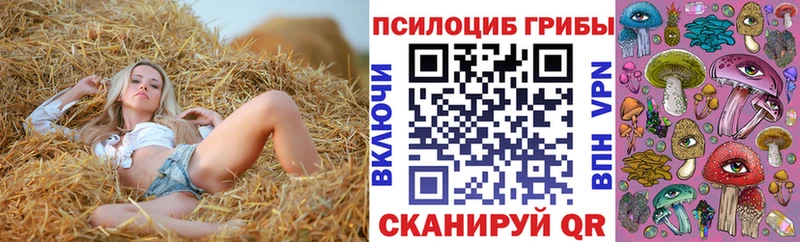 omg ССЫЛКА  Верхний Уфалей  Галлюциногенные грибы мицелий 