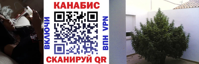 darknet наркотические препараты  Верхний Уфалей  Марихуана ГИДРОПОН 